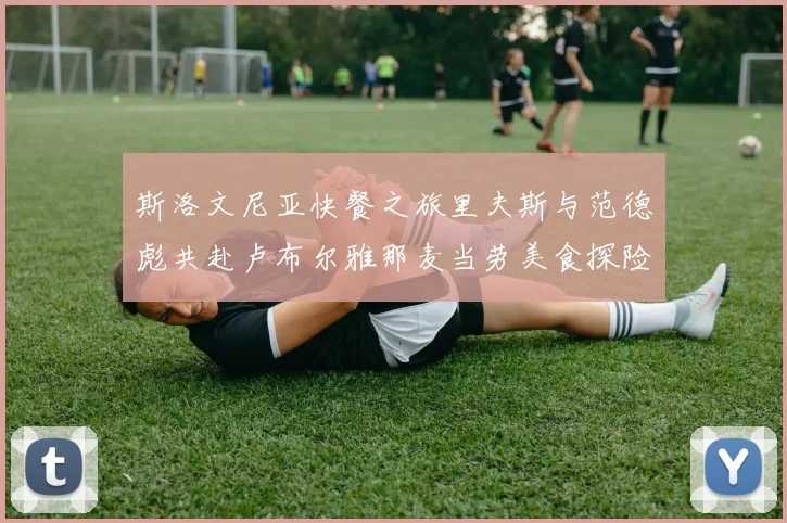 斯洛文尼亚快餐之旅里夫斯与范德彪共赴卢布尔雅那麦当劳美食探险